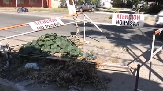 Vecinos reclaman hace un año que arreglen un bache al que le creció una planta de zapallo