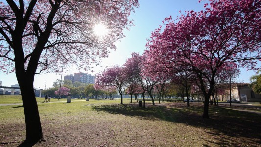 El verano arranca a pleno sol