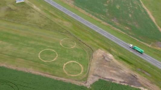 ¿Un OVNI en Carmen de Areco?: la explicación del INTA a los círculos misteriosos
