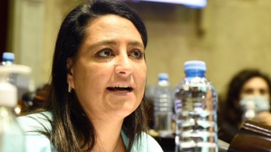 El exabrupto de una diputada del PRO: "Van a vacunar a todos sin saber qué mierda nos van a inocular"