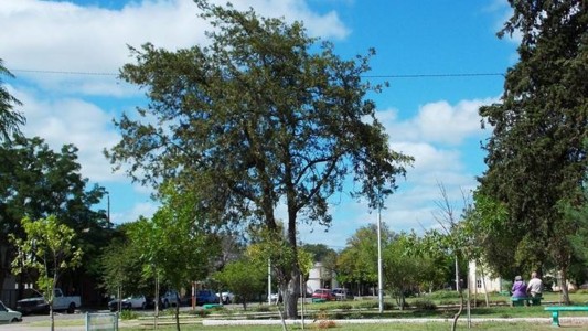 Una mujer de 22 años fue asesinada en Mayor Buratovich