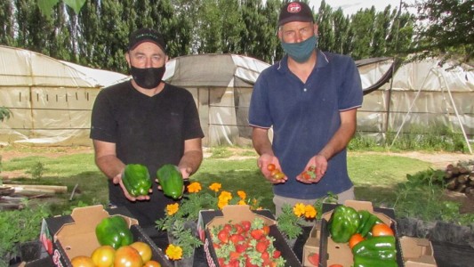 Desarrollaron un sistema hidropónico que utiliza material volcánico de origen neuquino