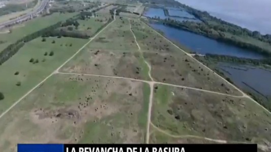 La revancha de la basura