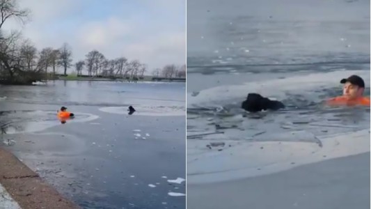 Video: saltó a un lago congelado para rescatar a un perro