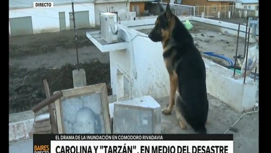 Inundación en Comodoro Rivadavia: el perro que se quedó a cuidar la casa familiar