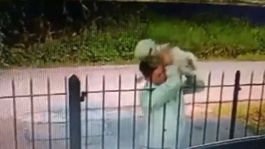 Angustia de una familia: les robaron el perro tras sacarlo por arriba de la reja