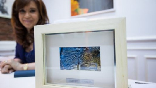 Científicos del Conicet bautizaron a un insecto "en honor" a Cristina y Néstor Kirchner