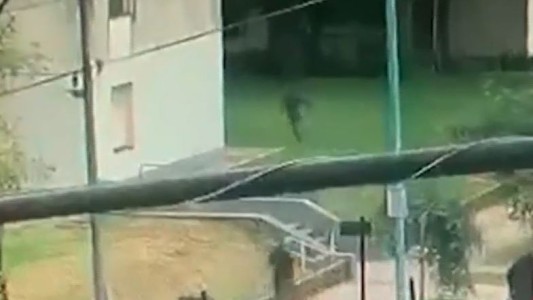 Robó tres millones de pesos durante una salidera bancaria en Ciudadela y tras un tiroteo con la policía lo detuvieron