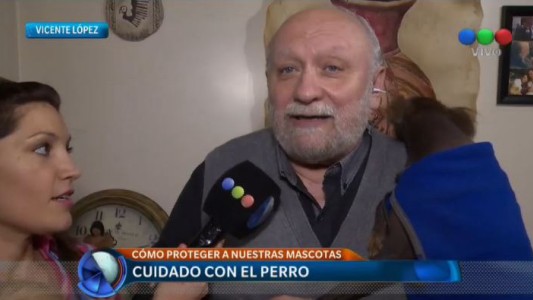 Claves para cuidar a las mascotas