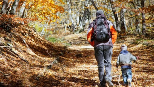 Fallo histórico en Córdoba: autorizan a un maestro la preadopción de un alumno