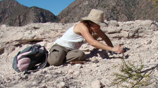 Identifican una especie de reptil que habitó Argentina hace 230 millones de años