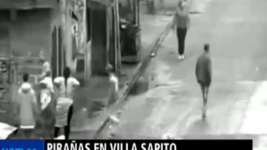 Video: así actúan las pirañas en Lanús
