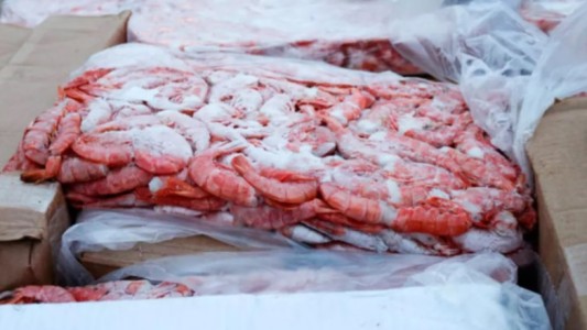 Subastaron más de 4 toneladas de langostinos decomisados