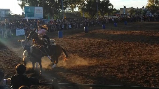 Video impactante: fuerte choque entre dos caballos durante una exhibiciòn