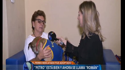 El perro que encontraron cubierto de brea tiene nueva familia y nombre