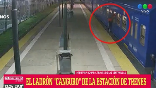 Video: así roba un "canguro" en los trenes