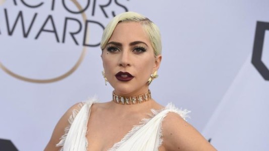 Balearon al paseador de perros de Lady Gaga y le robaron dos perros: la cantante ofrece 500 mil dólares de recompensa