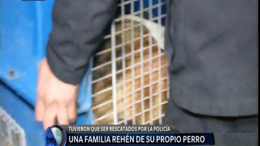 Cuatro integrantes de una familia fueron atacados por su perro