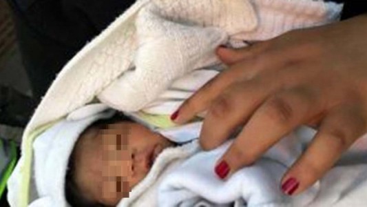 Abandonaron a un bebé dentro de un bolso y lo encontró un perro