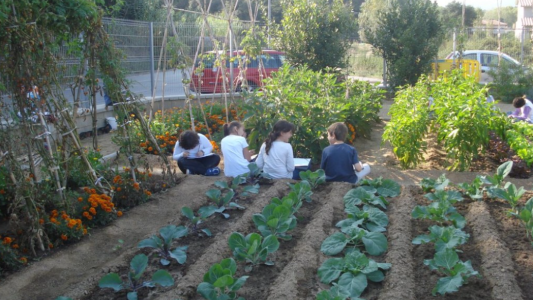 Proponen incorporar huertas orgánicas en las escuelas municipales de Mar del Plata