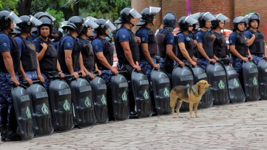 Mataron a "Mariscal", el perro callejero que custodiaba la Casa de Gobierno de Chaco