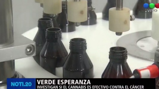 En la Universidad de Medicina de La Plata se realizó el 1° Congreso Argentino de Cannabis y Salud