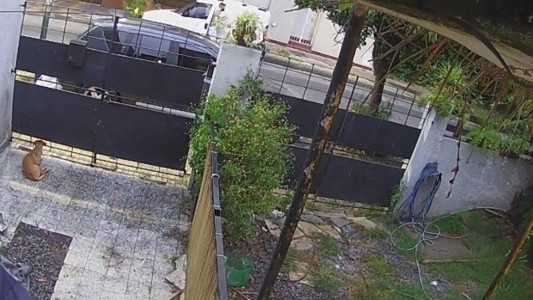 Le sacaron la licencia al motoquero que atropelló a un joven mientras hacía "willy"