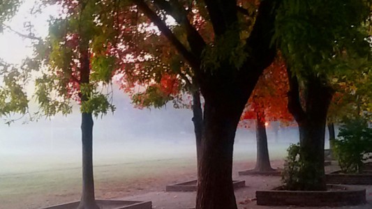 Irlanda quiere investigar los abusos en el colegio Cardenal Newman