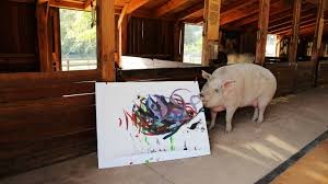 Video: "Pigcasso", el cerdo pintor que hizo un retrato abstracto del Príncipe Harry