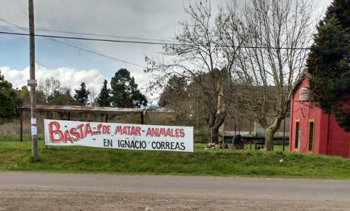 Tres personas intoxicadas en el pueblo donde envenenaron a 200 animales