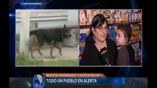 La vecina que patrulla las calles para intentar frenar la matanza de animales