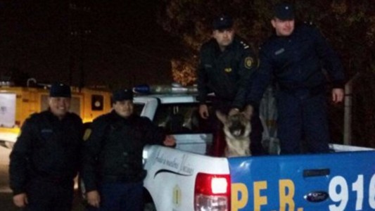 Recuperaron a Max, el perro bombero que había sido robado en Entre Ríos