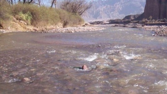 Jujuy: dio a luz a mellizas y las abandonó en un arroyo dentro de una bolsa de residuos