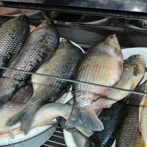 Chubut distribuye 3 toneladas de pescado a familias en situación de vulnerabilidad