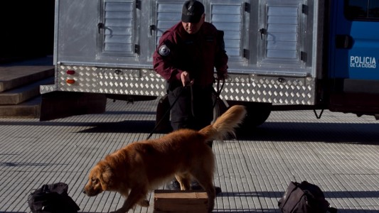Presentan una patrulla de perros para la prevención y combate del delito en la Ciudad