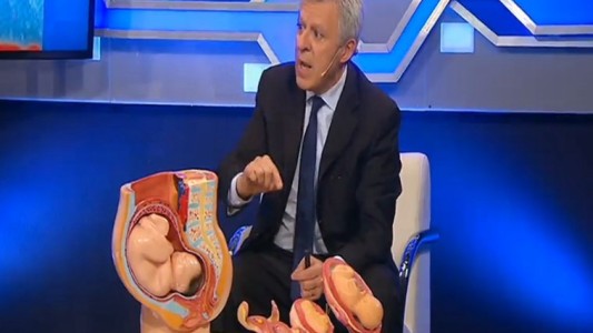 Bebé propio, en vientre ajeno