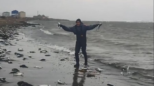 Pescan con sus manos la marea de arenques que llega a la costa