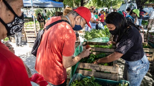 Manzana, tomate, lechuga y otros 7 productos agroecológicos, desde hoy a precios accesibles