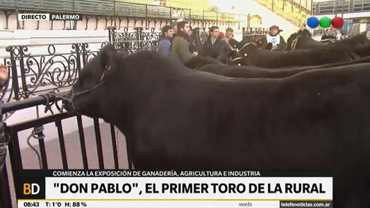El toro "Don Pablo" abrió el ingreso de animales a la Rural