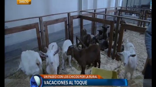 Vacaciones de invierno: un paseo con los chicos por La Rural