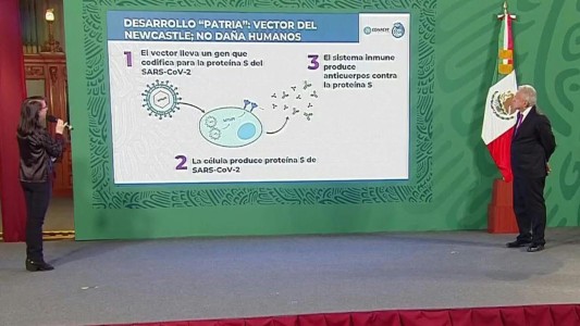 México comienza a probar su vacuna contra el covid