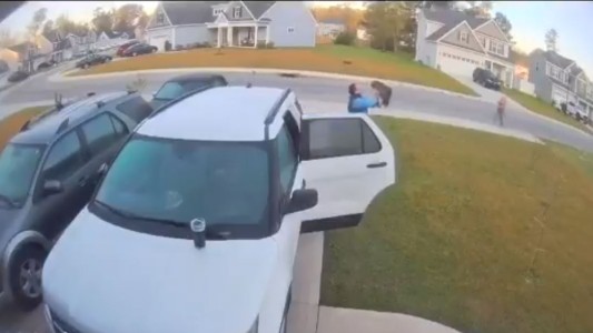 Un hombre atrapa 'un gato' con sus manos pero se trataba de una animal salvaje