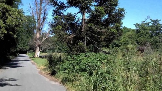 Hallaron un cuerpo en el descampado dónde buscan a Anahí Benítez