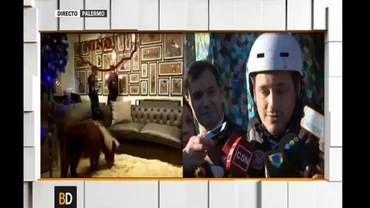 Un pony en una mueblería: "Esto fue dedicado a los niños"