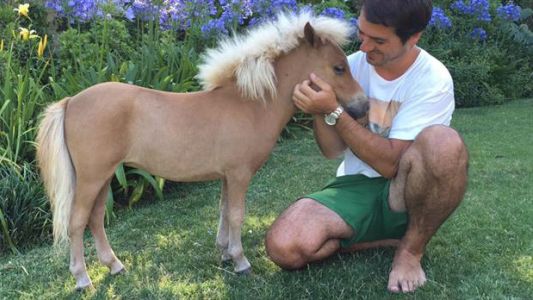 Habló el criador del caballo "Tuco": "No teníamos un fin comercial"