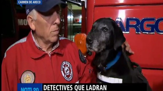 La historia de "Camila", la perra que estaba por jubilarse y encontró el avión perdido en el Delta