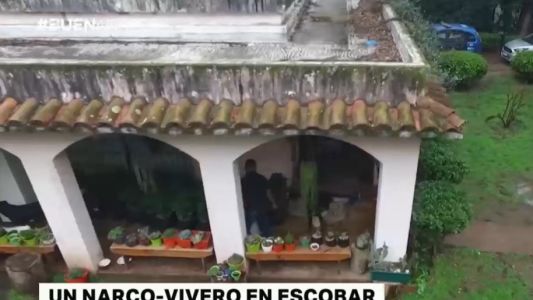 Desbarataron un "narco vivero" en Escobar