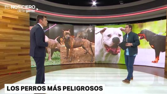 Cuáles son las razas de perros más peligrosas