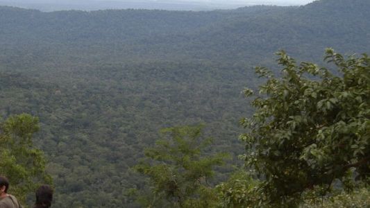Investigan la muerte de una joven que cayó desde un mirador en Misiones