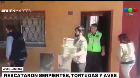 Rescataron animales de distintas especies que estaban a la venta en Avellaneda